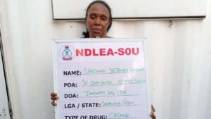 NDLEA nabs female cross-border drug kingpin