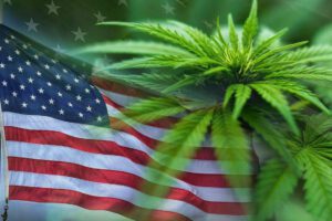 Trump rethinks US marijuana laws in bid to reduce oversights